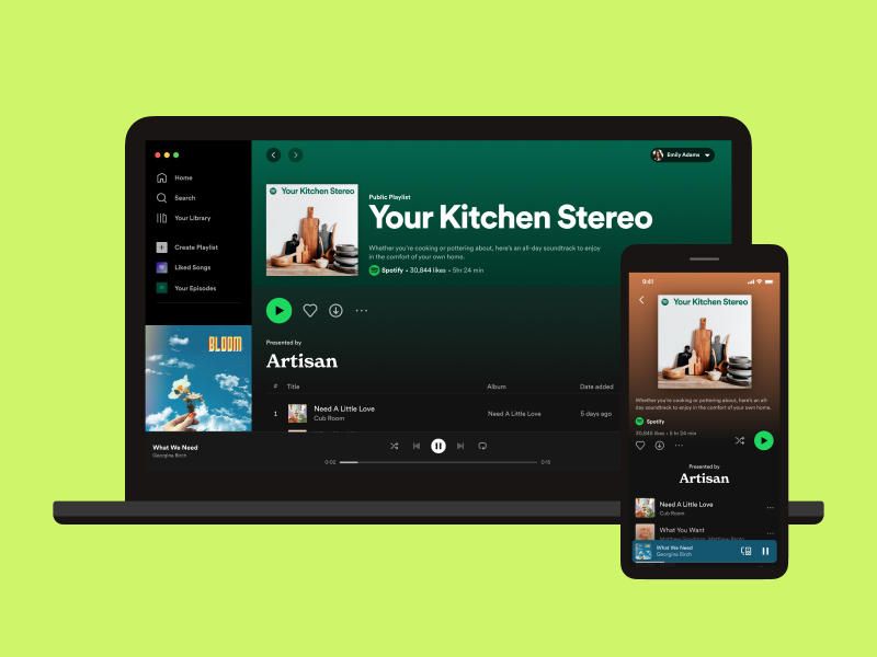 Pitch Your Song to Spotify Playlist