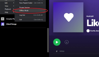 can spotify play offline