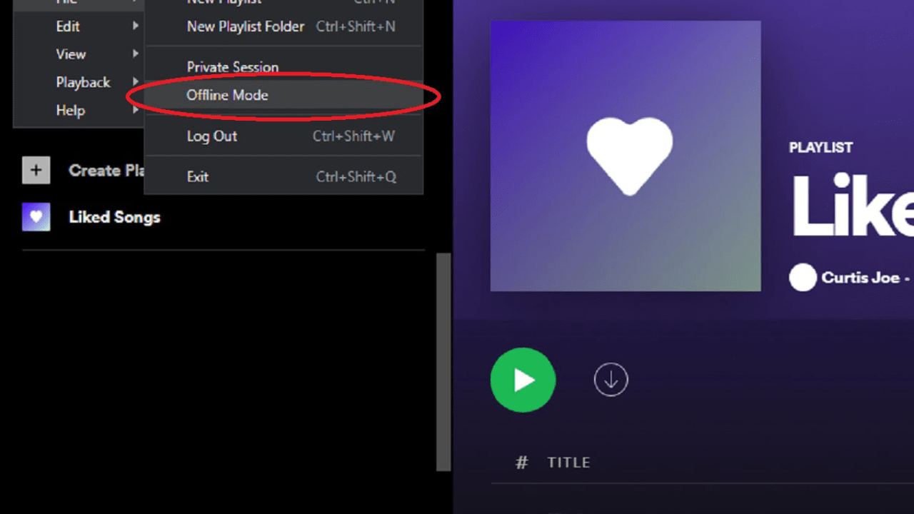 can spotify play offline