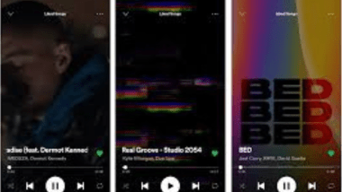 canvas spotify
