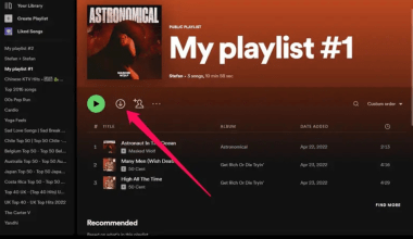 how can i download songs from spotify