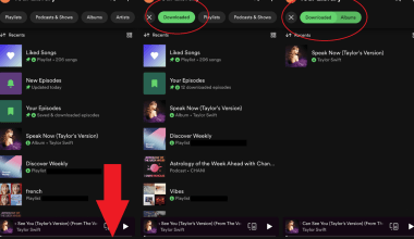 how to download songs on spotify