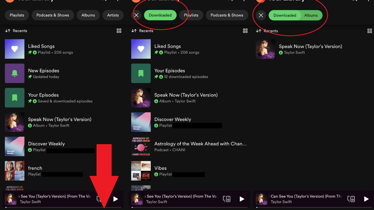 how to download songs on spotify