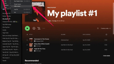 how to download spotify playlist