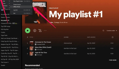 how to download spotify playlist