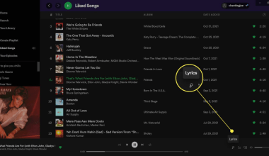 how to see lyrics in spotify