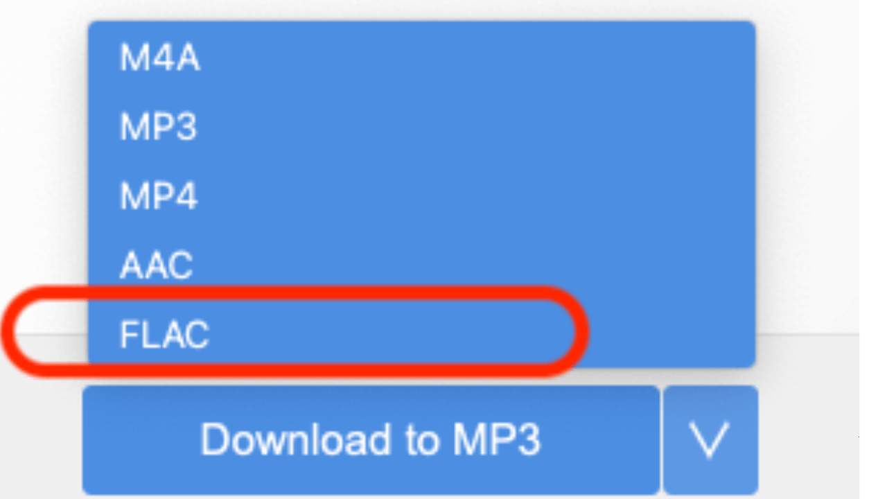 mp3 flac download