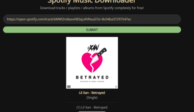 spotify audio downloader