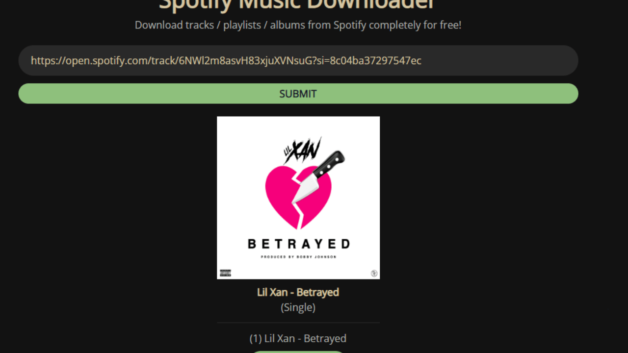 spotify audio downloader