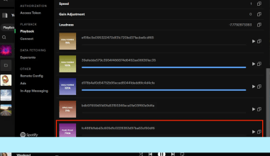 spotify lossless audio