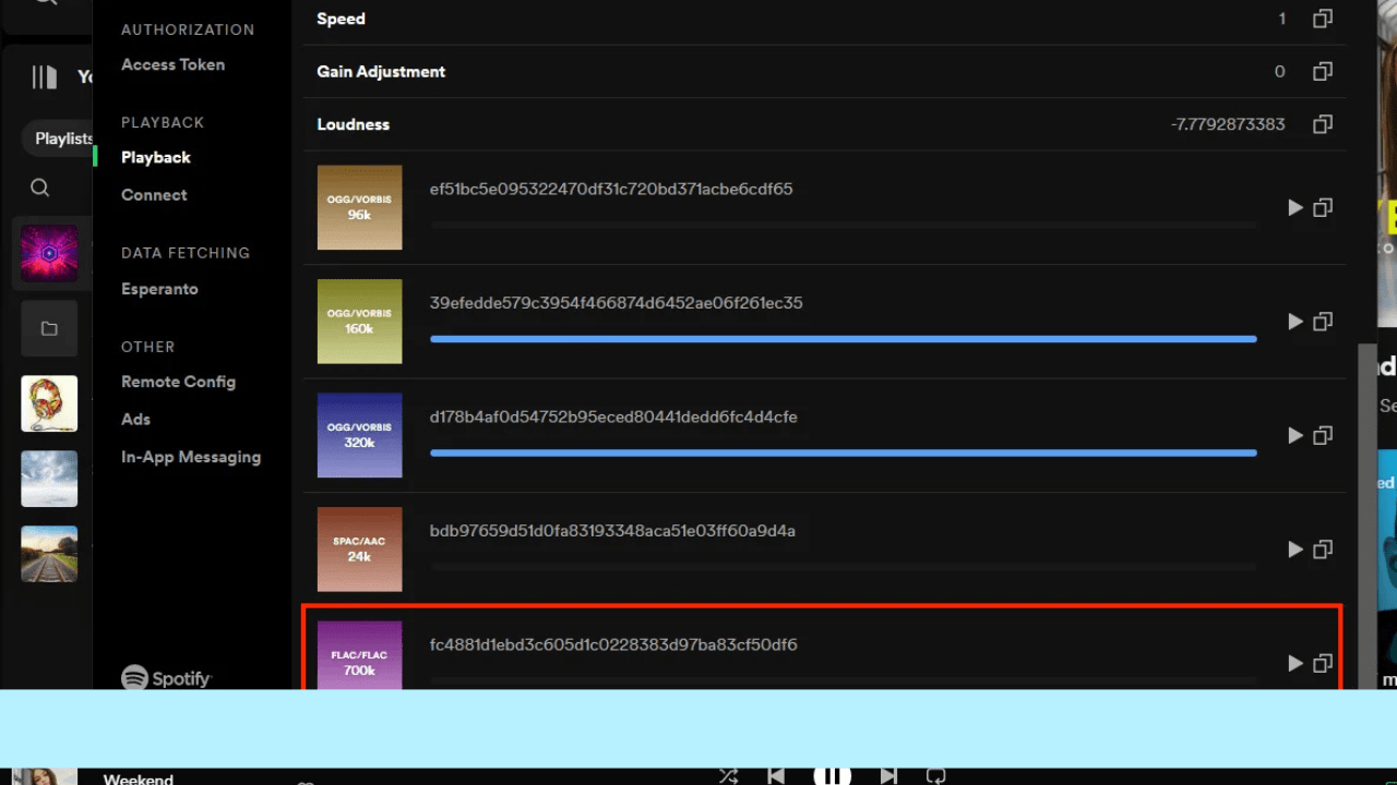 spotify lossless audio