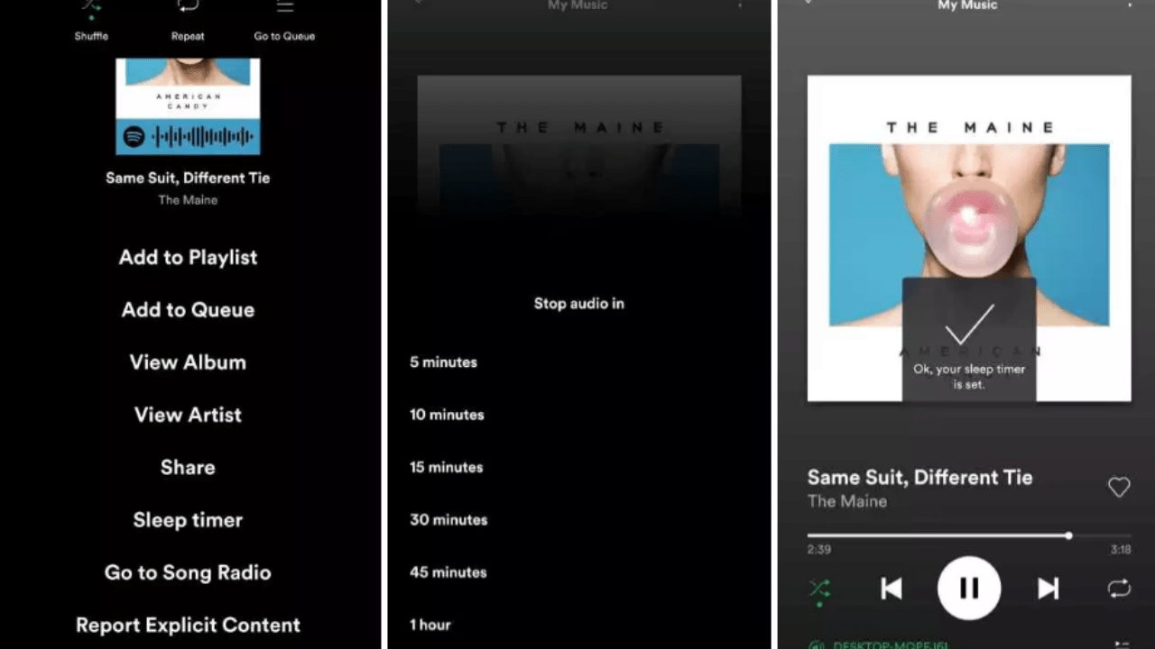 timer in spotify