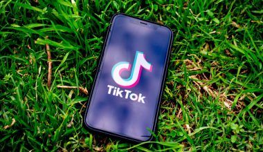 tiktok profile search