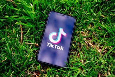 tiktok profile search