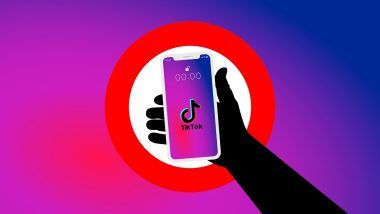 what is tiktok promote