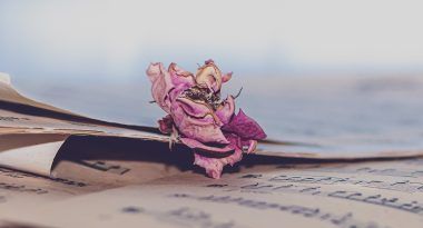 beautiful bazzi lyrics