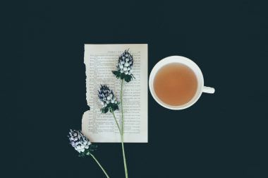 penelope scott sweet hibiscus tea