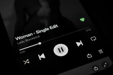 Monetize your single on Spotify globally