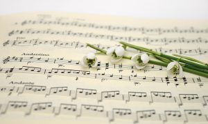 best song distribution company